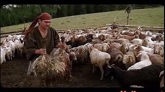 永生羊,揭秘生物科技与生命奥秘的奇迹之旅